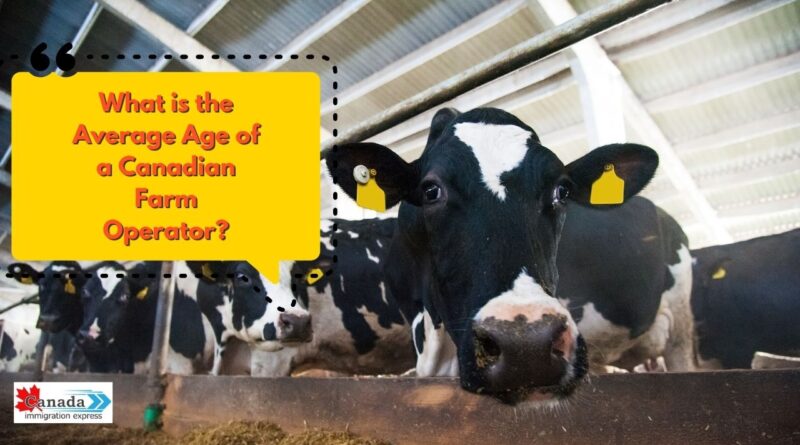 Cow Farm Operator average age