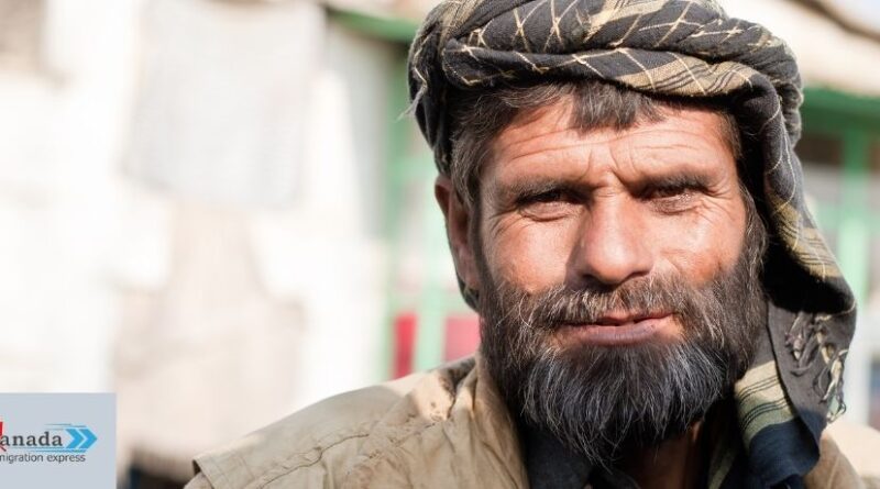 Afghan Immigrant